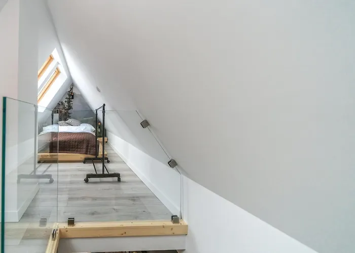 Nosal * زاكوباني