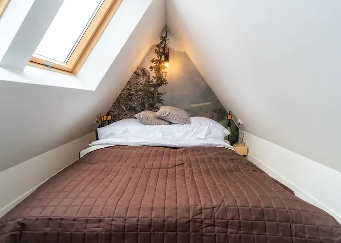 Nosal زاكوباني